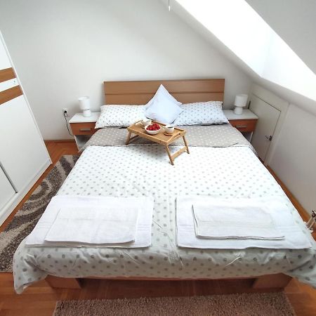 Apartman Ns Dan Private Parking ノヴィ・サド エクステリア 写真
