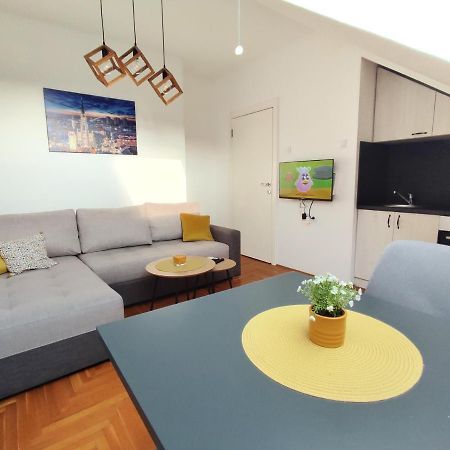 Apartman Ns Dan Private Parking ノヴィ・サド エクステリア 写真