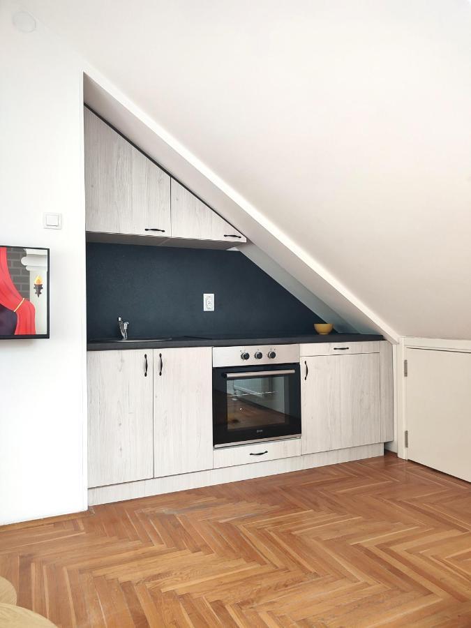 Apartman Ns Dan Private Parking ノヴィ・サド エクステリア 写真